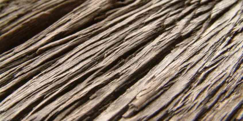 Strukturalizace dřeva